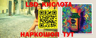 прущие грибы Будённовск