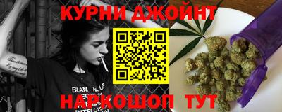 прущие грибы Будённовск