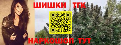 прущие грибы Будённовск