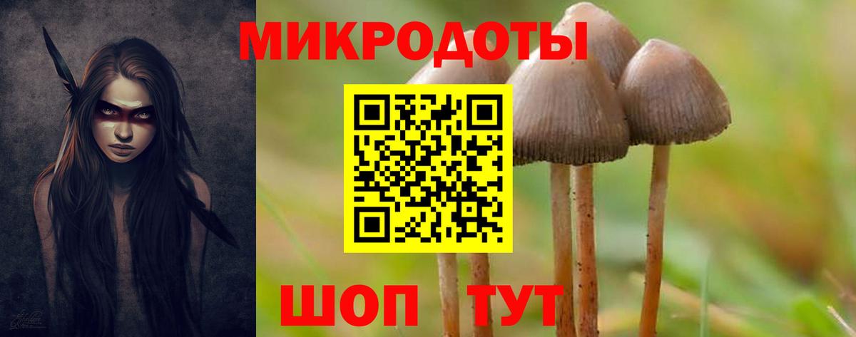 Псилоцибиновые грибы ЛСД  Галлюциногенные грибы Magic Shrooms  Вход с VPN  Шадринск 